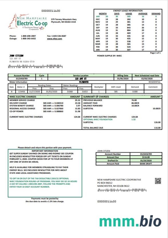 USA New Hampshire Electric Co-op elektryczność rachunek za media szablon w formacie Word i PDF